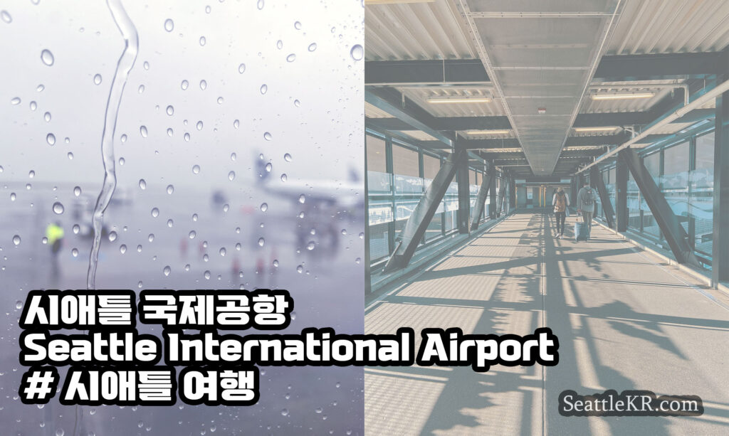 시애틀 국제공항