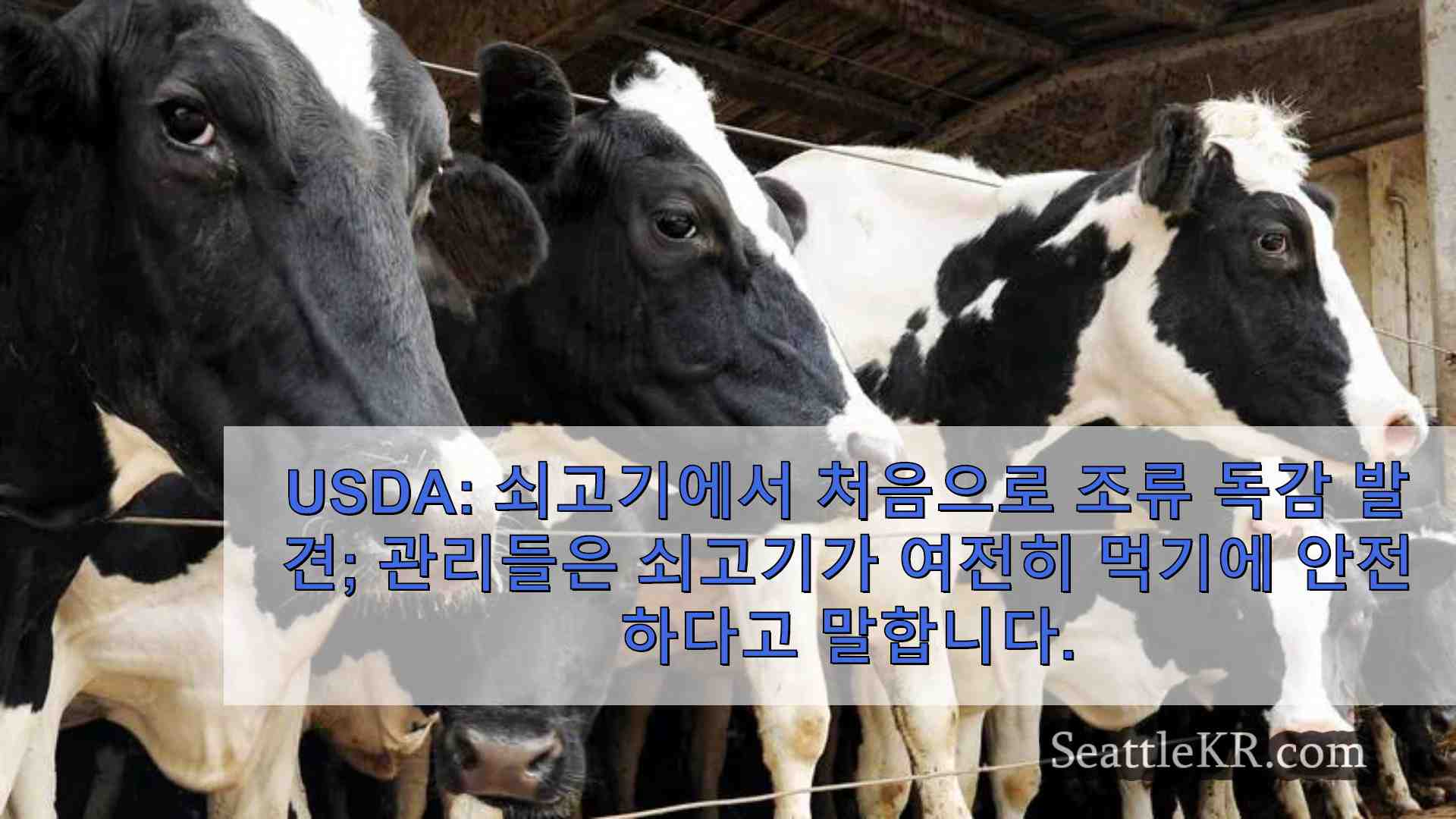 USDA 쇠고기에서 처음으로 조류 독감 발견 관리들은 쇠고기가 여전히 먹기에 안전하다고 말합니다.