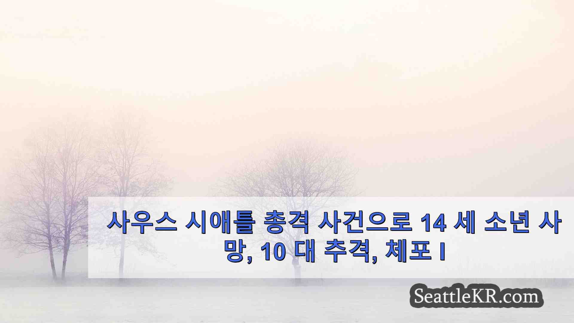 사우스 시애틀 총격 사건으로 14 세 소년 사망 십대 추격 에버렛에서 체포