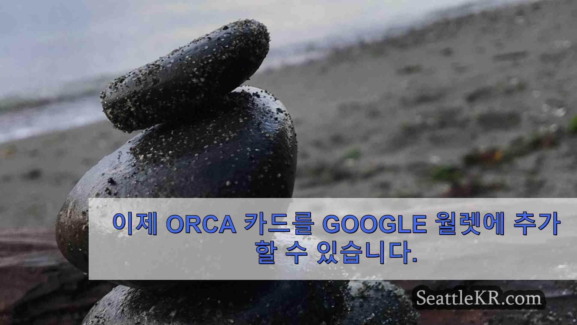 시애틀 뉴스 SeattleKR