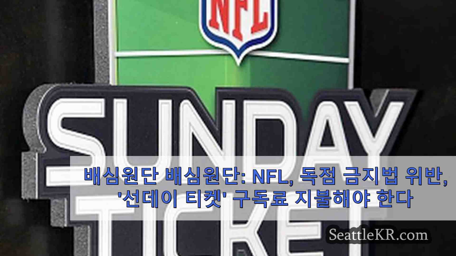 배심원단 NFL 독점 금지법 위반 선데이 티켓 가입자에게 40억 달러 손해 배상해야