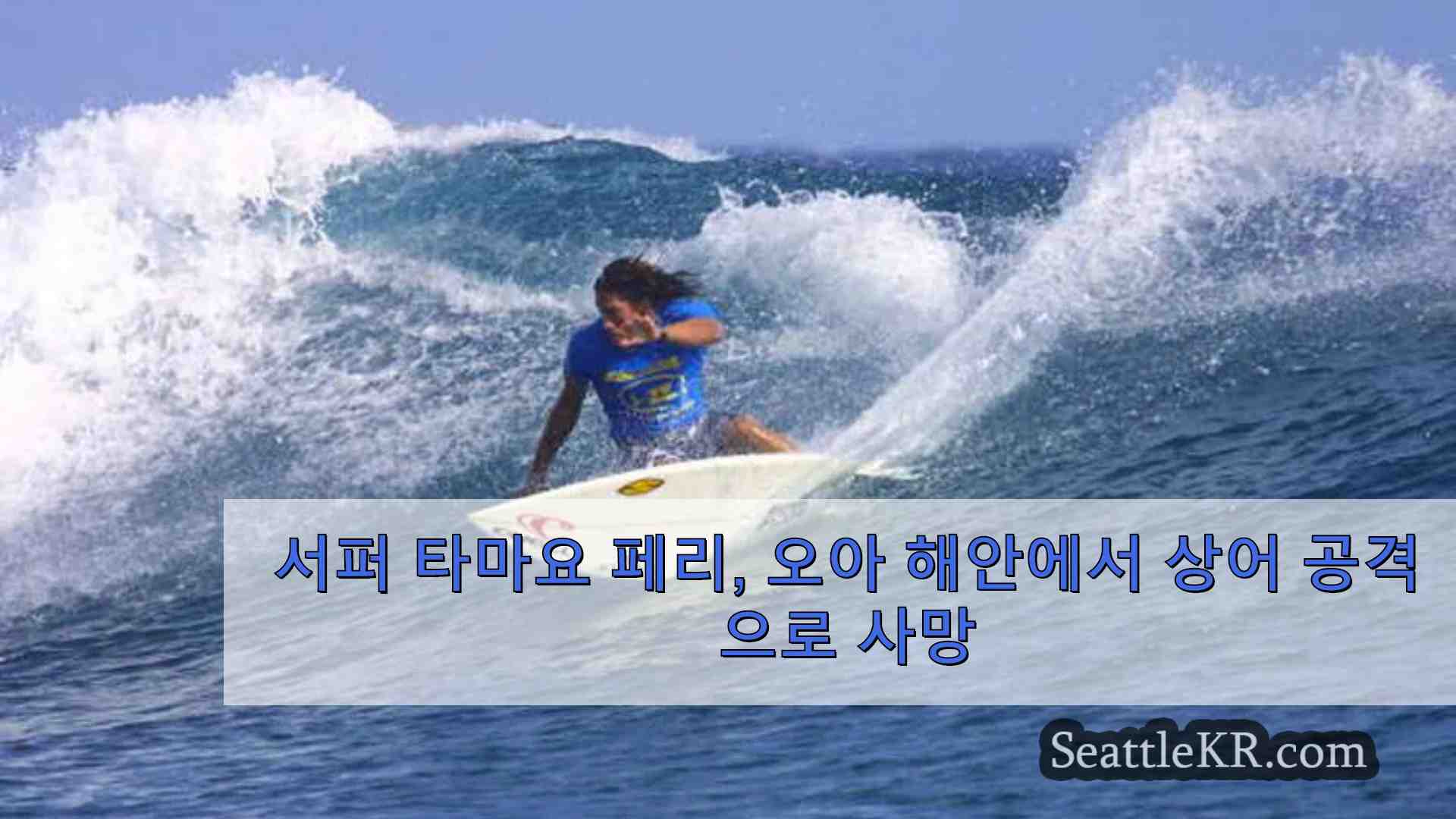 서퍼 타마요 페리 오아후 해안에서 상어 공격으로 사망