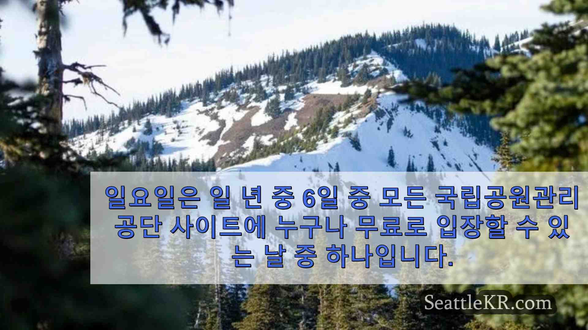 시애틀 뉴스 SeattleKR