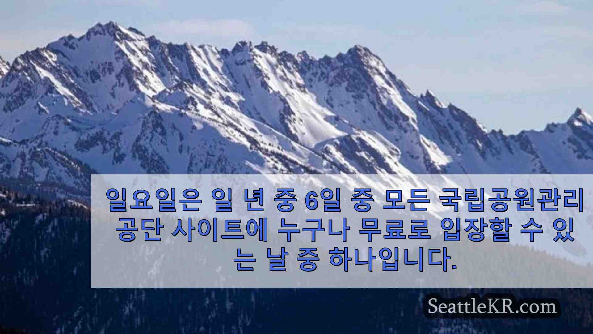 시애틀 뉴스 SeattleKR