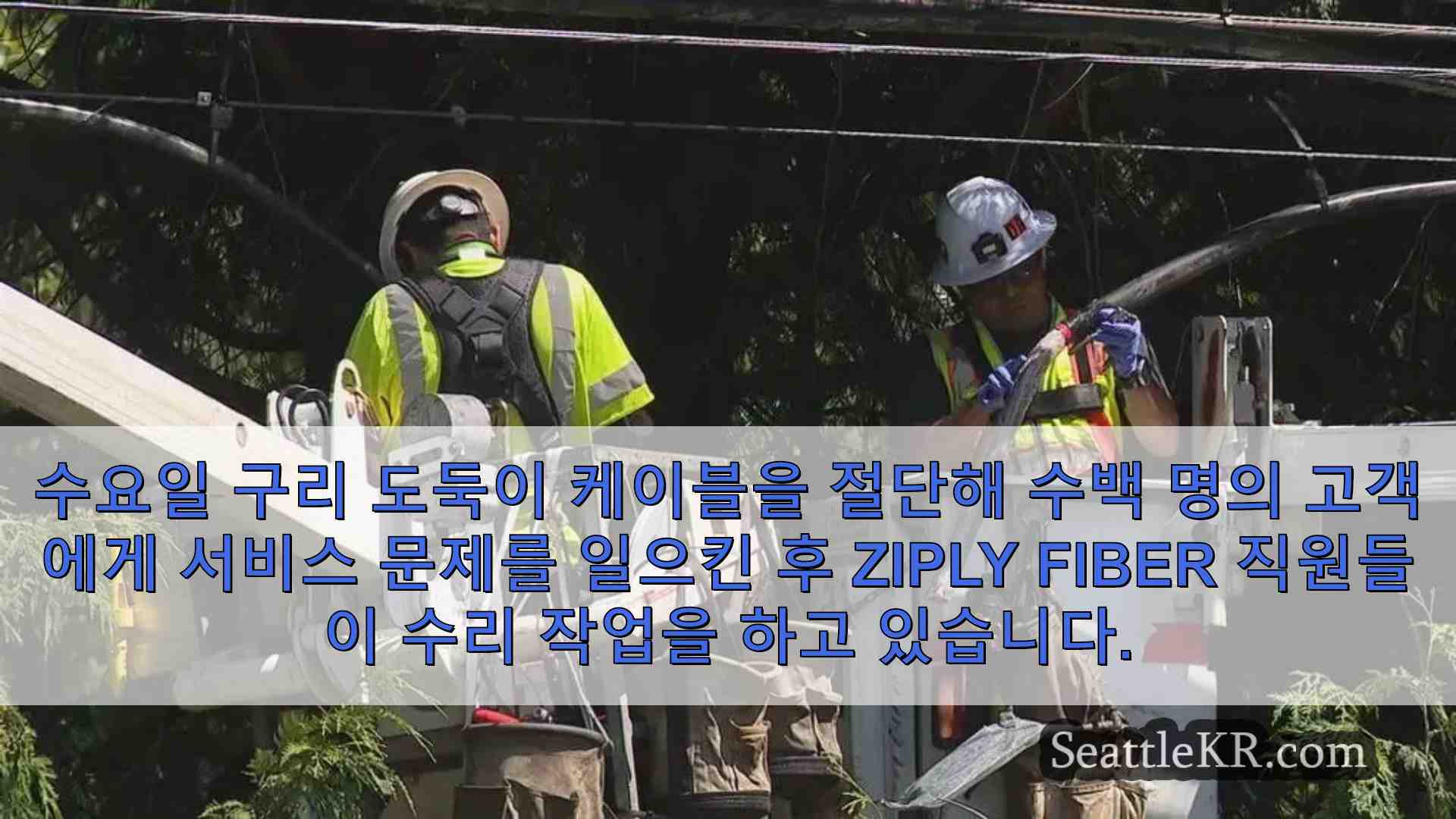 구리선 도둑이 수백 명의 고객의 전화 및 인터넷 서비스를 중단시켰습니다.