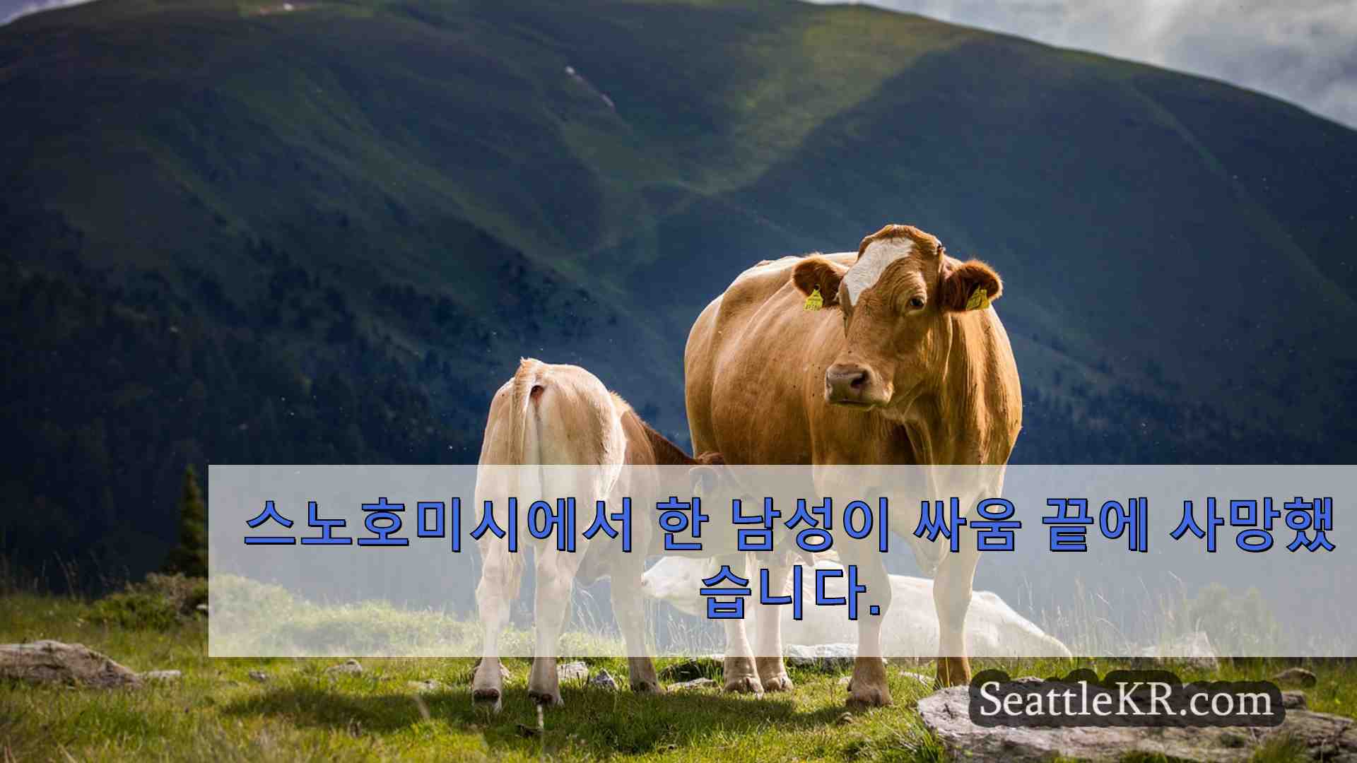 시애틀 뉴스 SeattleKR