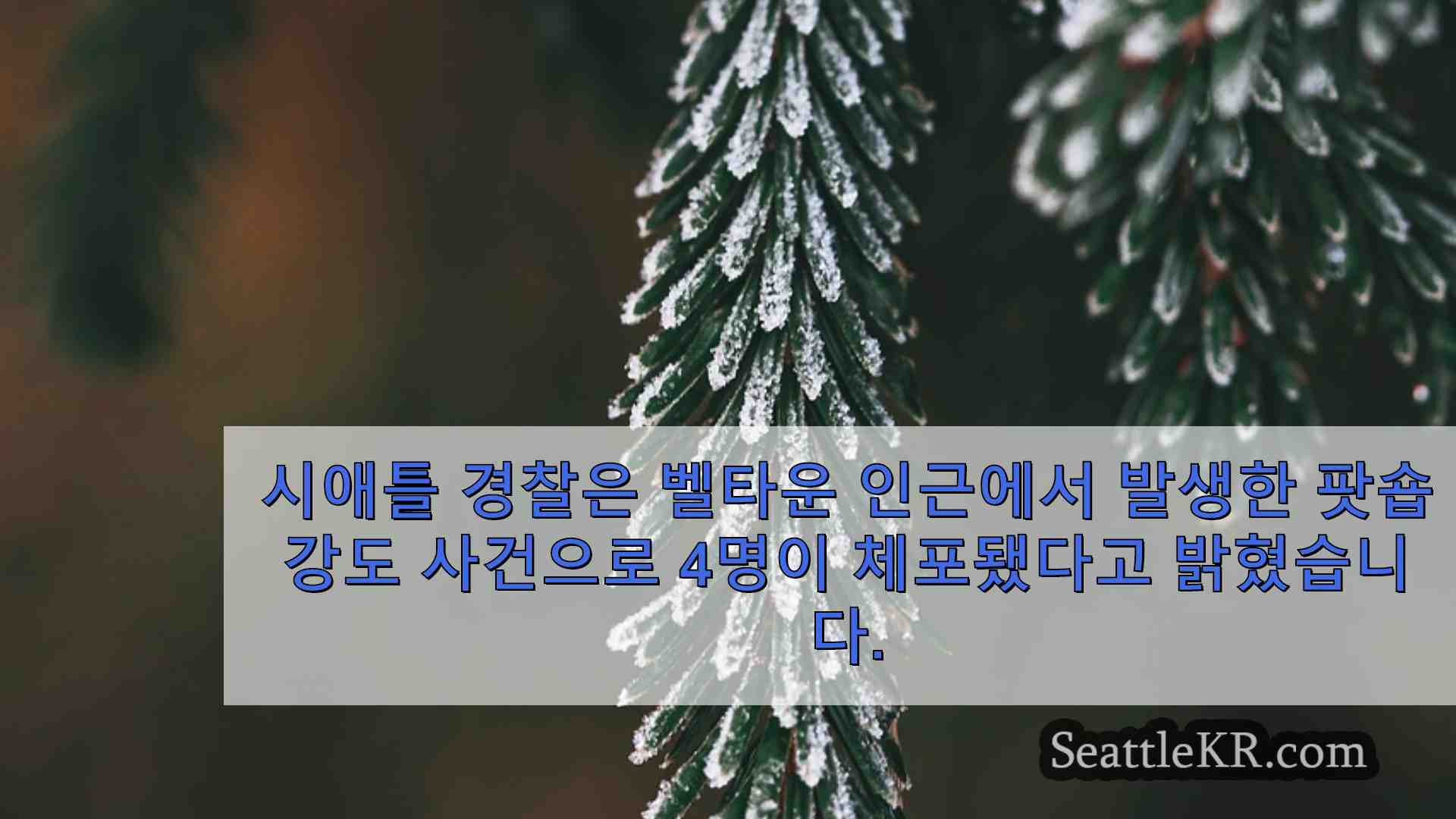 시애틀 뉴스 SeattleKR