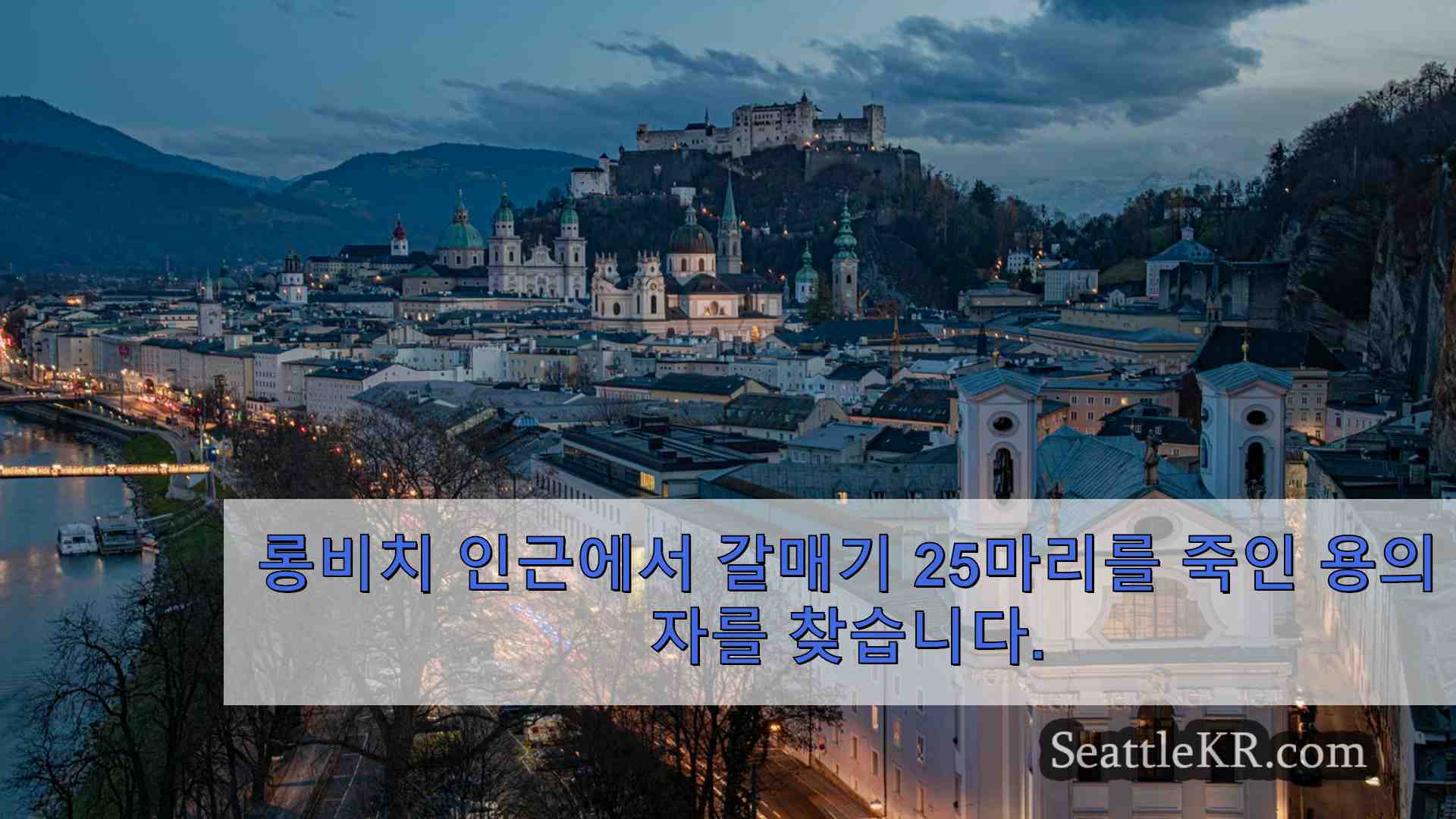 시애틀 뉴스 SeattleKR