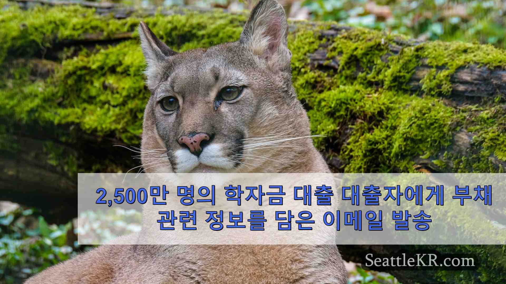 시애틀 뉴스 SeattleKR