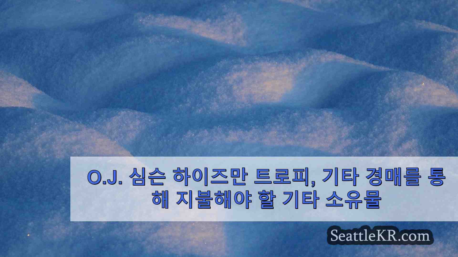 시애틀 뉴스 SeattleKR