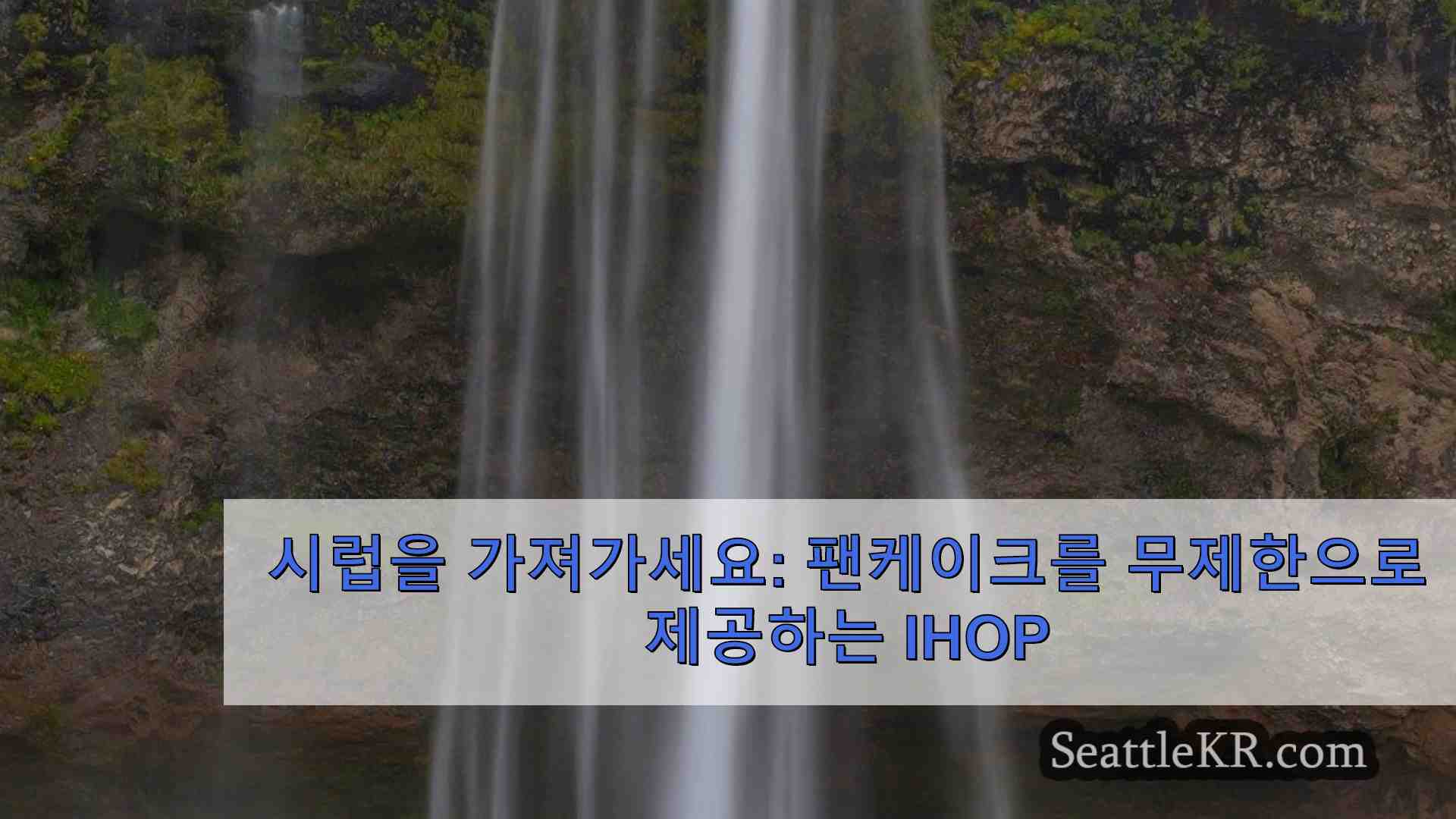 시애틀 뉴스 SeattleKR