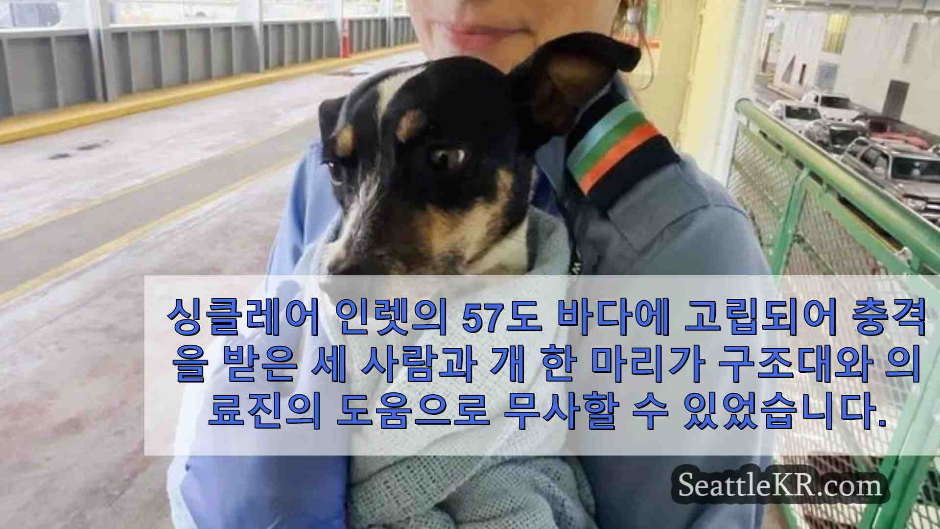 시애틀 뉴스 SeattleKR