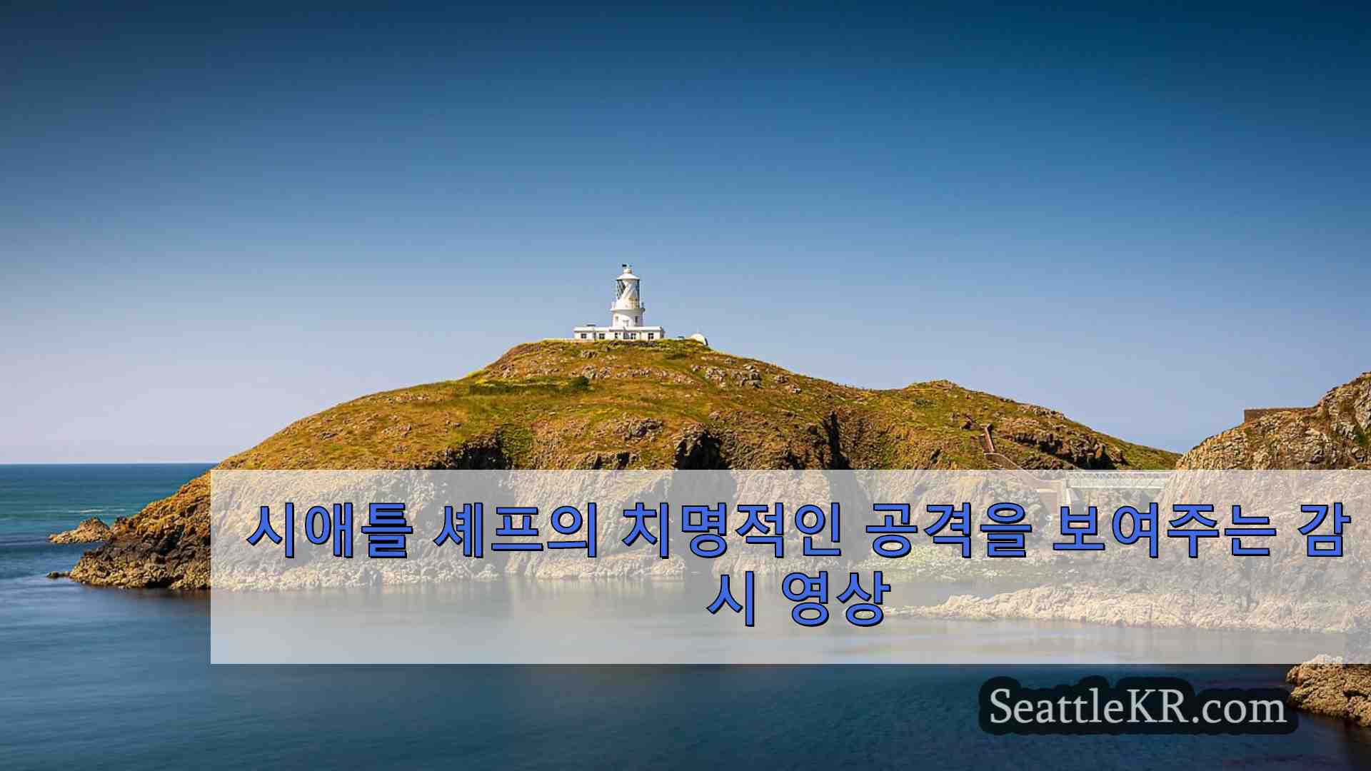 시애틀 셰프의 치명적인 공격을 보여주는 감시 영상