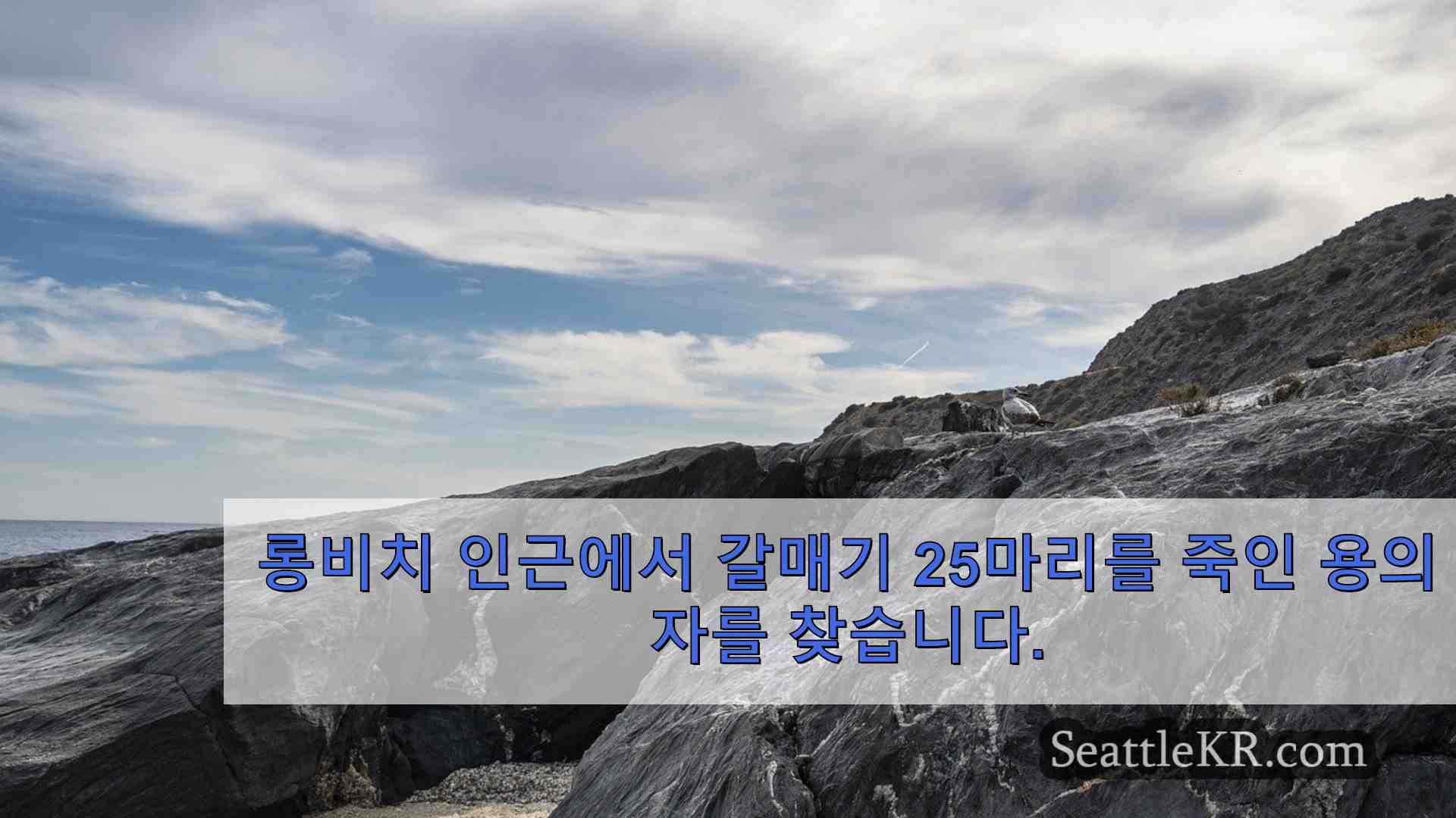 시애틀 뉴스 SeattleKR