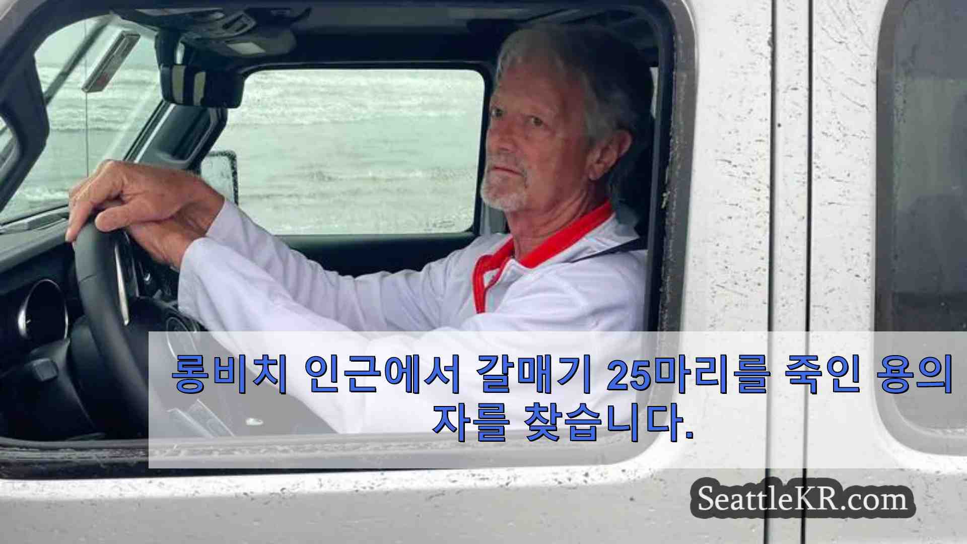 롱비치 인근에서 갈매기 25마리를 죽인 용의자를 찾습니다.