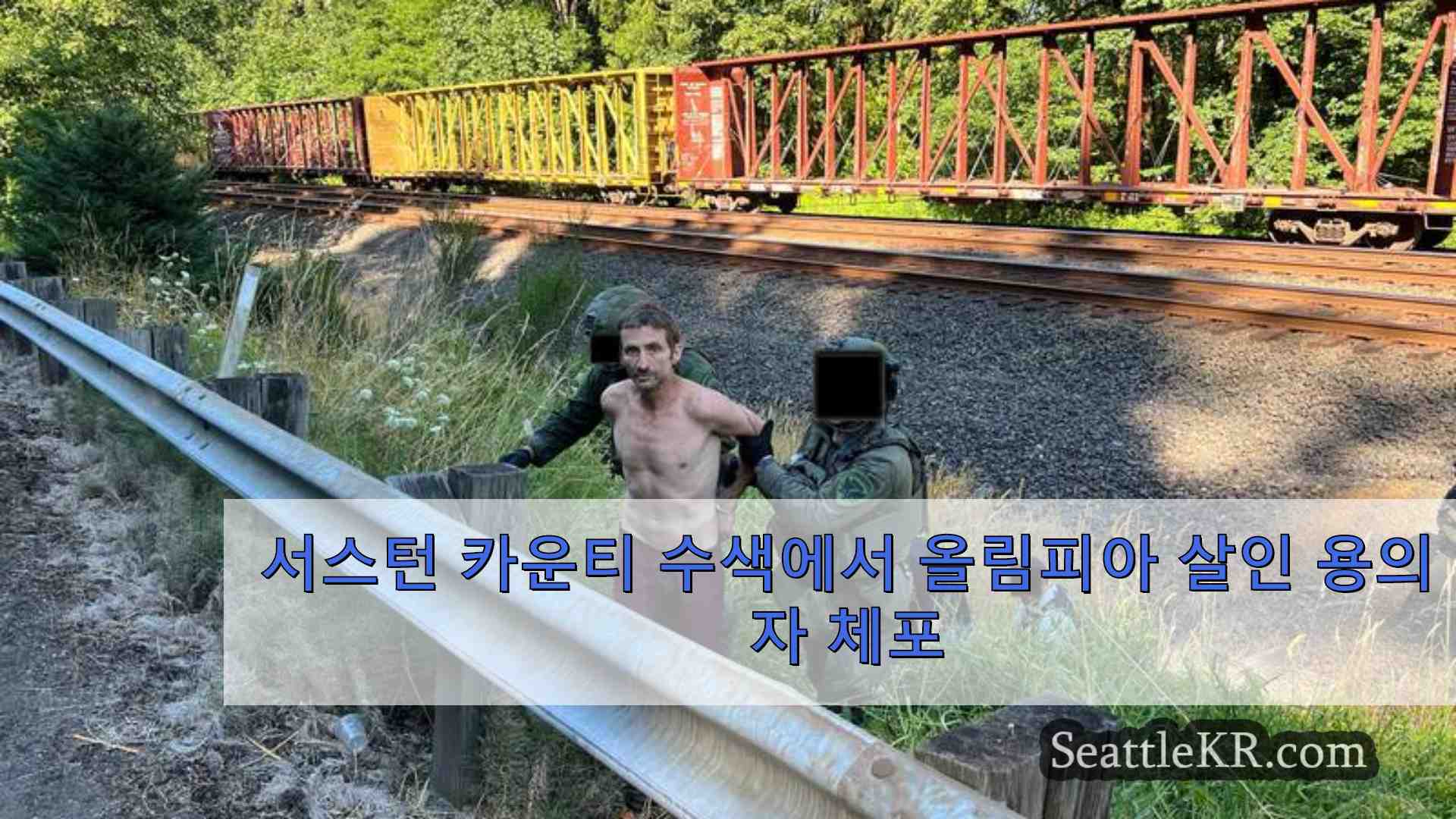 서스턴 카운티 수색에서 올림피아 살인 용의자 체포