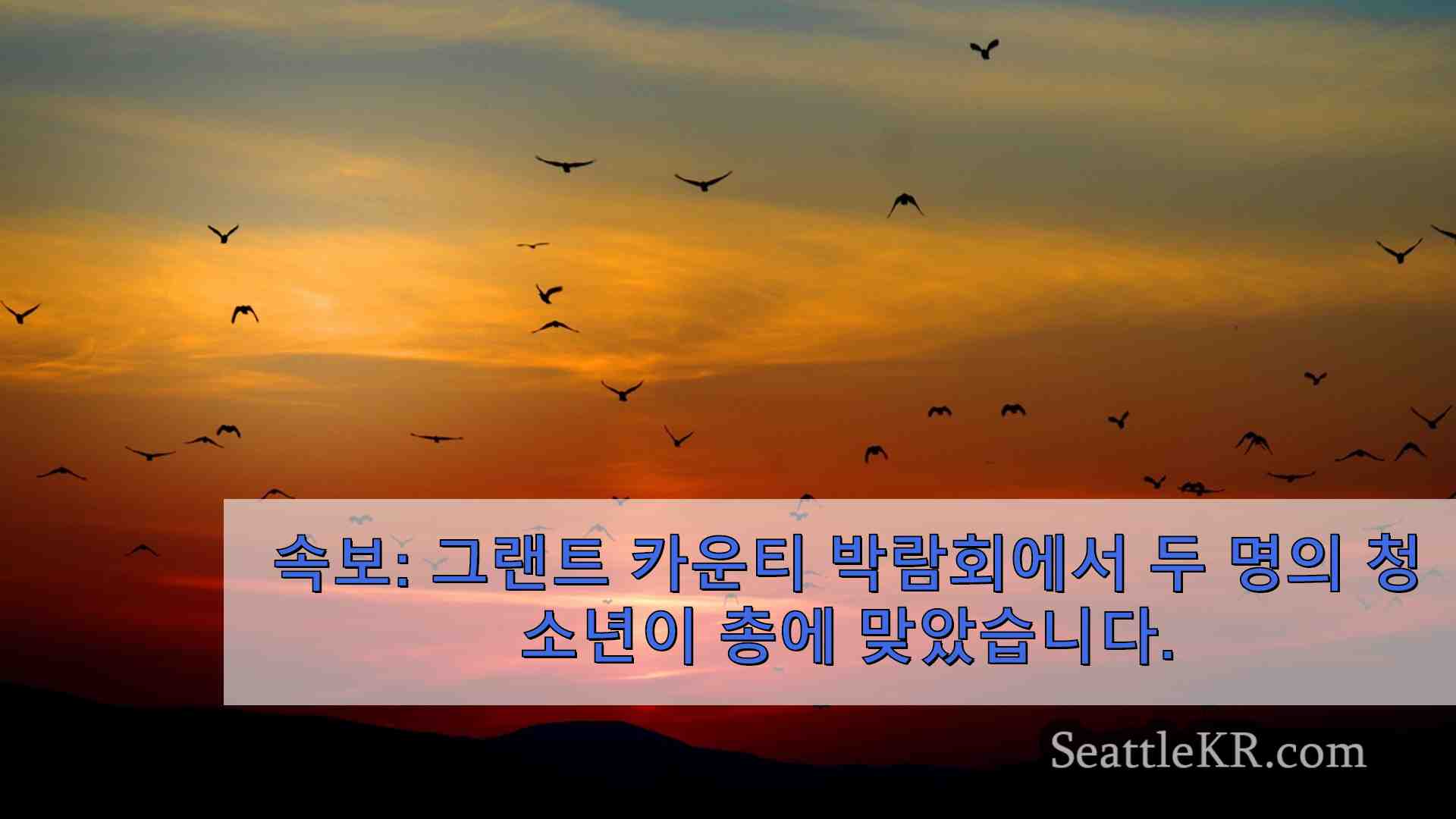 시애틀 뉴스 SeattleKR