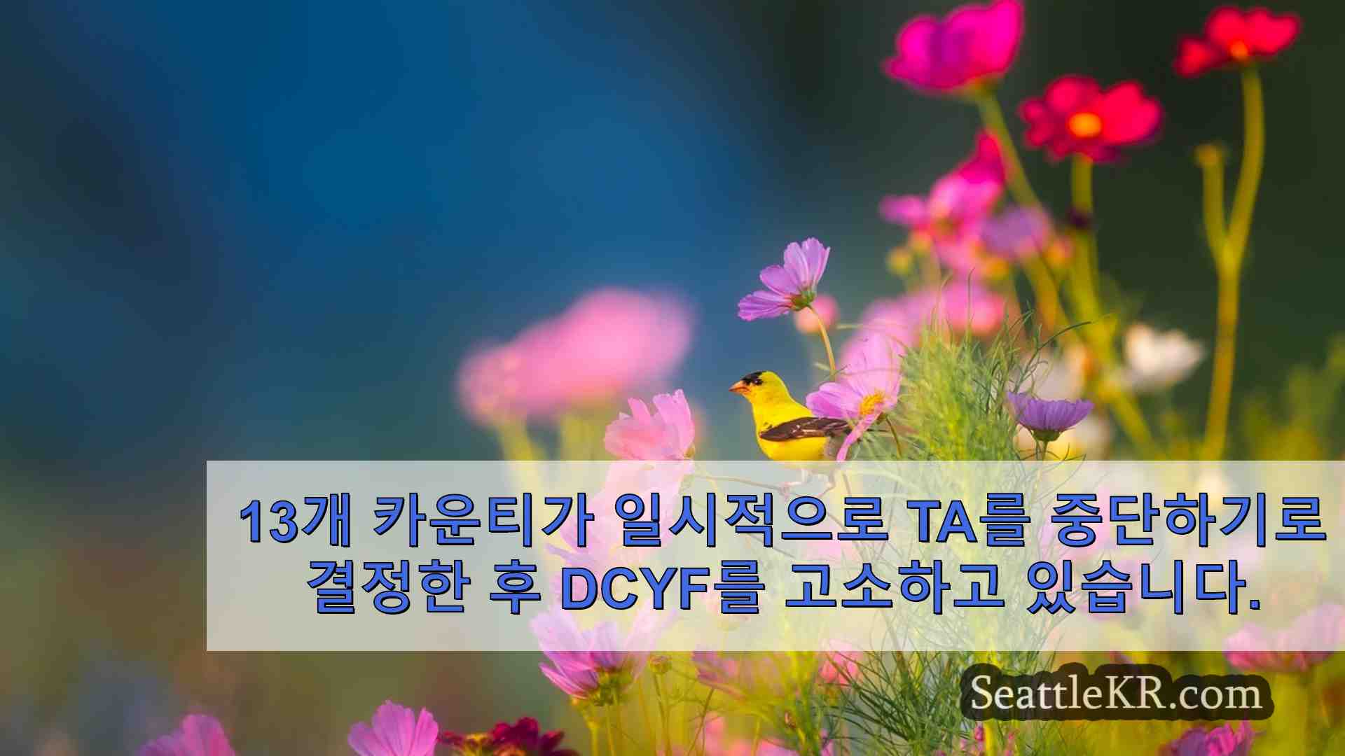 13개 카운티가 청소년 범죄자 수용을 일시적으로 중단하기로 결정한 후 DCYF를 고소하고 있습니다.