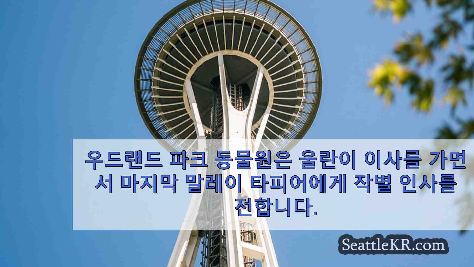 시애틀 뉴스 SeattleKR