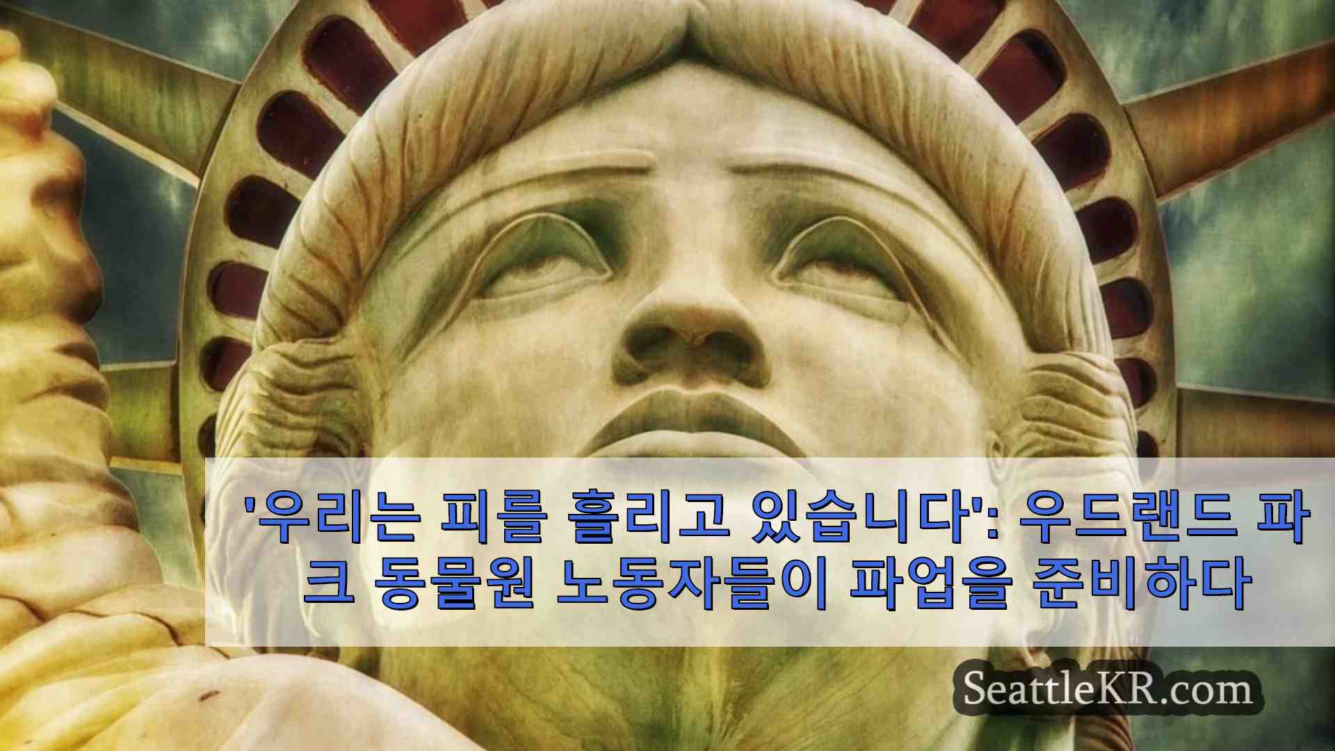 시애틀 뉴스 SeattleKR