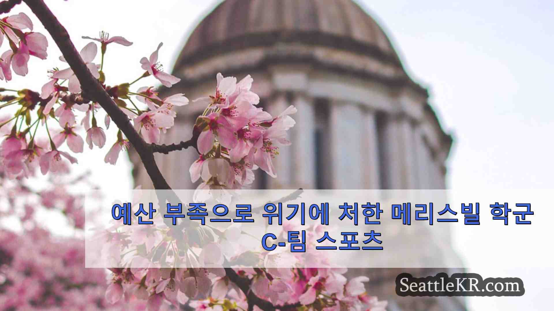 시애틀 뉴스 SeattleKR