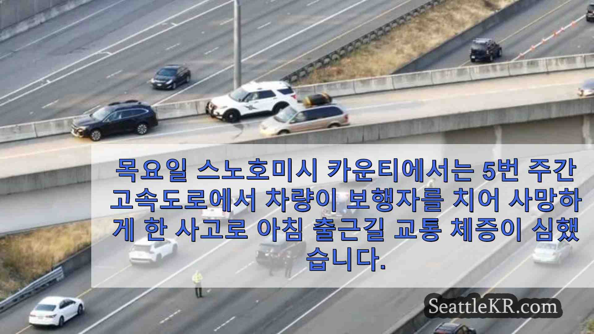 시애틀 뉴스 SeattleKR