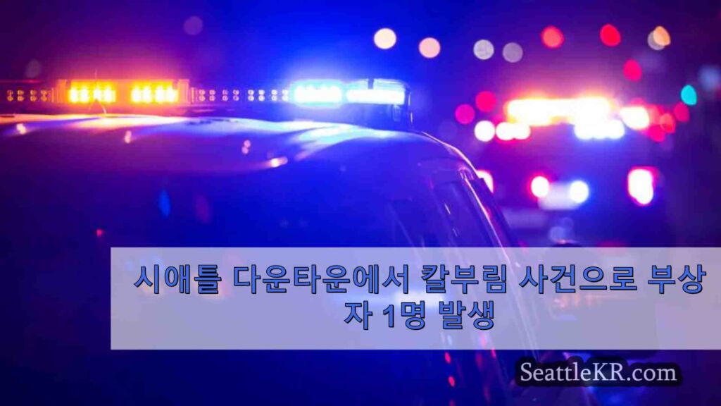 시애틀 다운타운에서 칼부림 사건으로 부상자 1명 발생