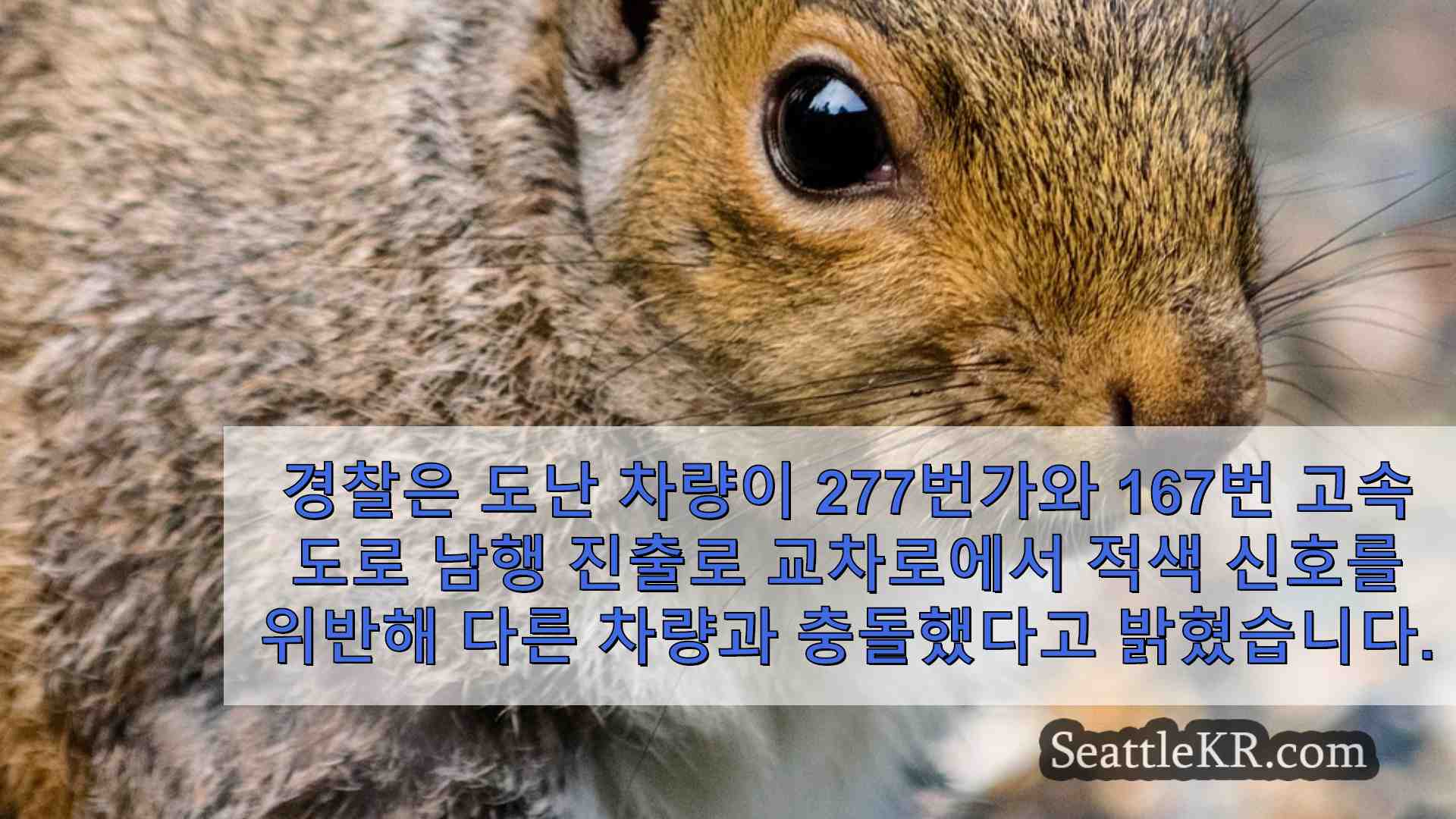 시애틀 뉴스 SeattleKR