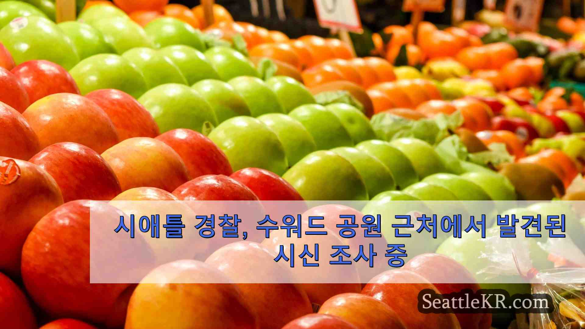 시애틀 뉴스 SeattleKR