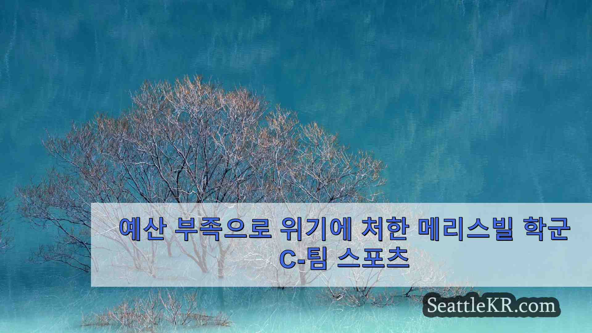 시애틀 뉴스 SeattleKR