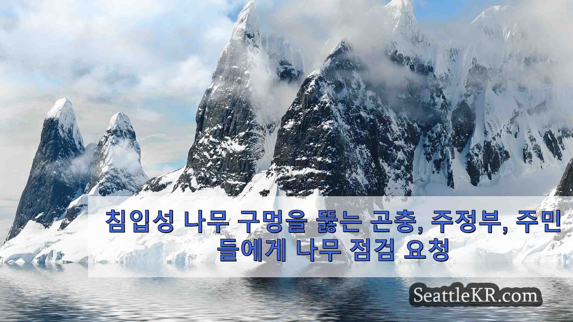 시애틀 뉴스 SeattleKR