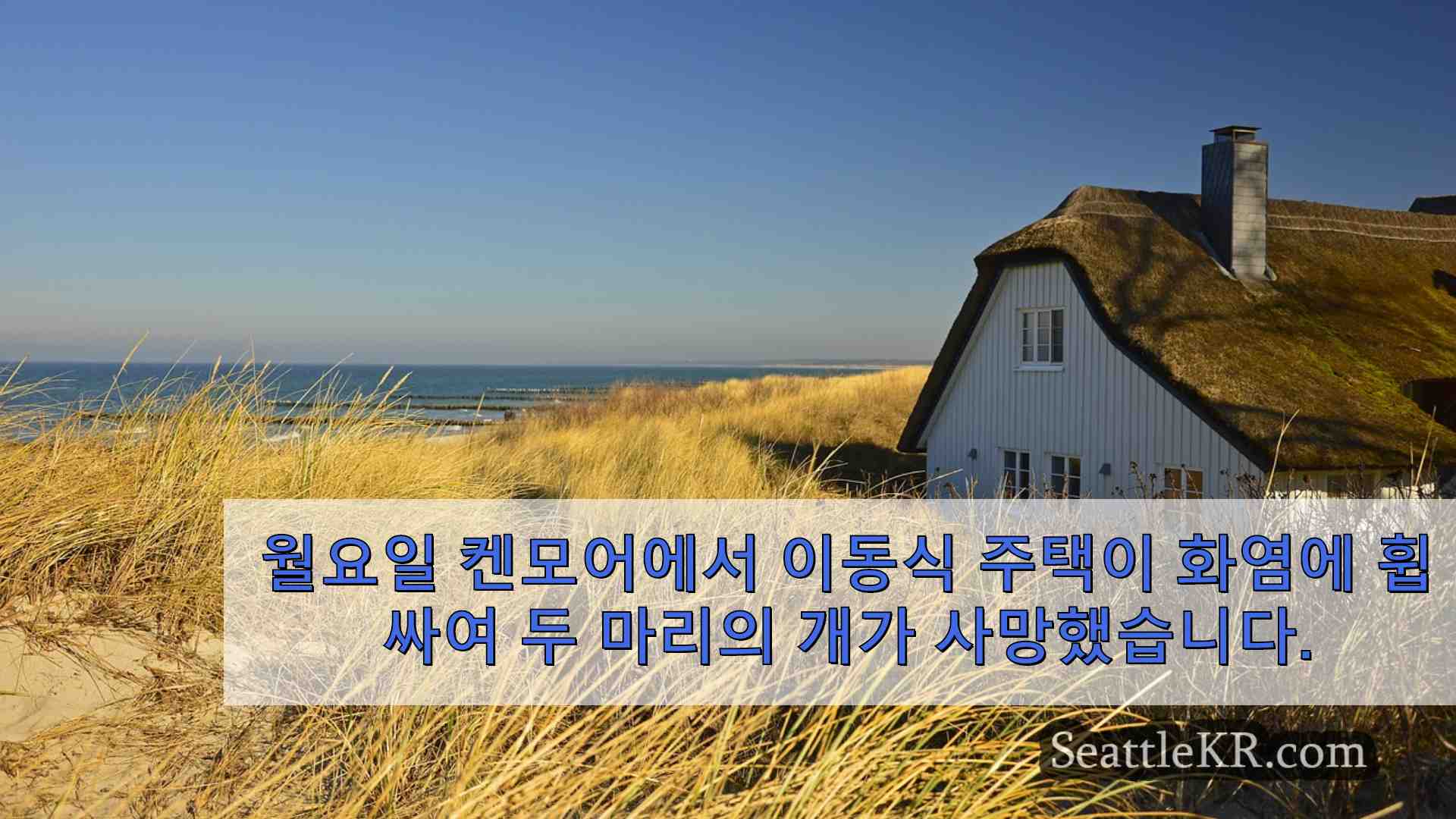 시애틀 뉴스 SeattleKR