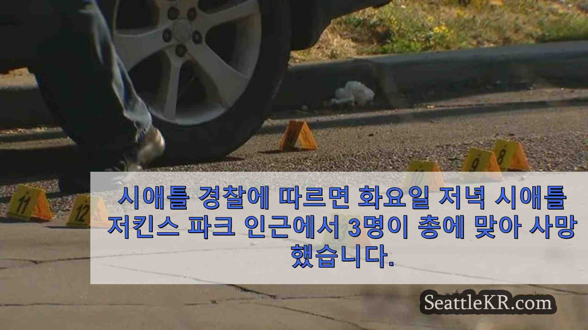 시애틀 뉴스 SeattleKR