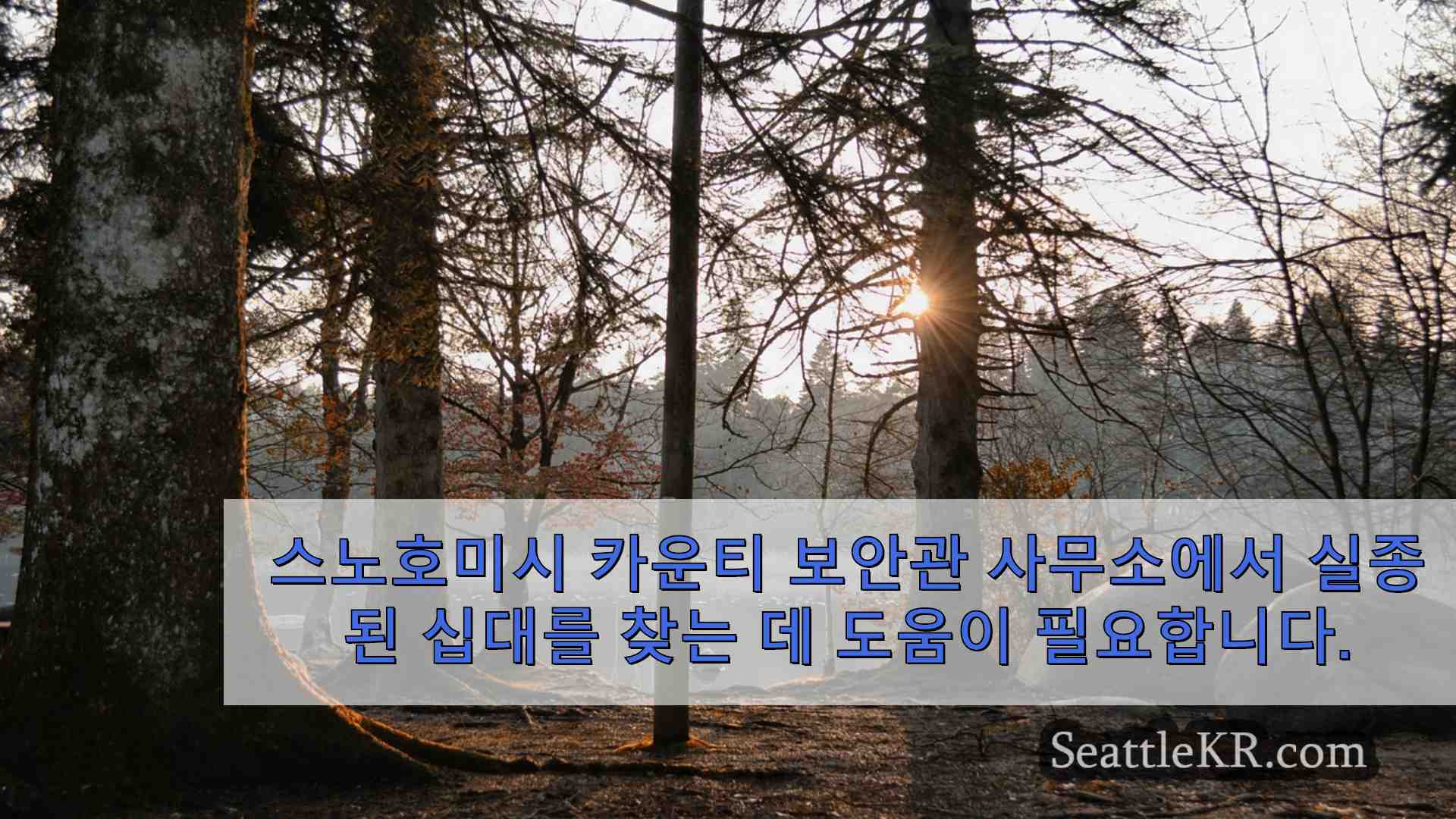 시애틀 뉴스 SeattleKR