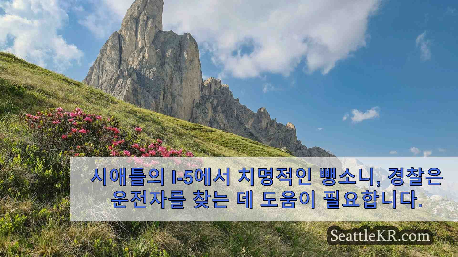 시애틀 뉴스 SeattleKR