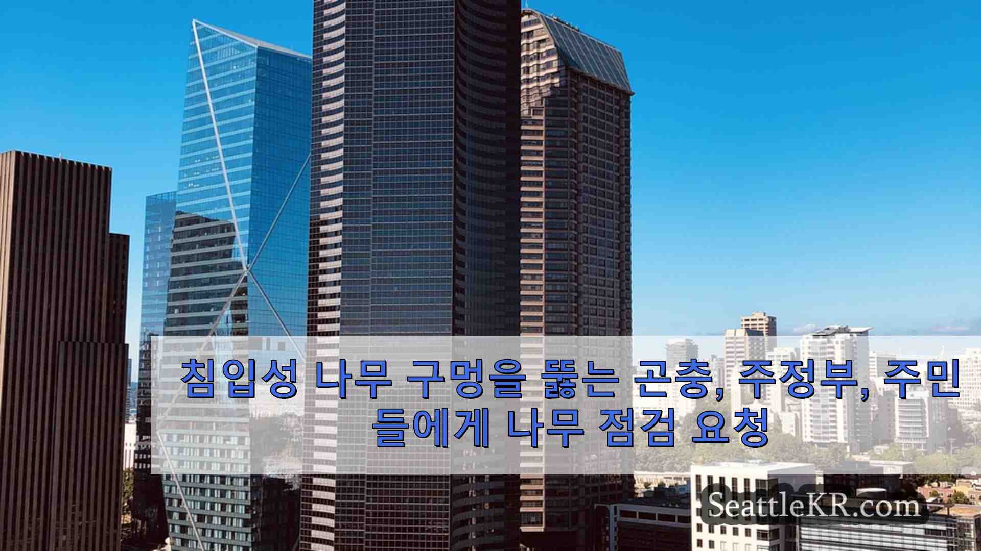시애틀 뉴스 SeattleKR