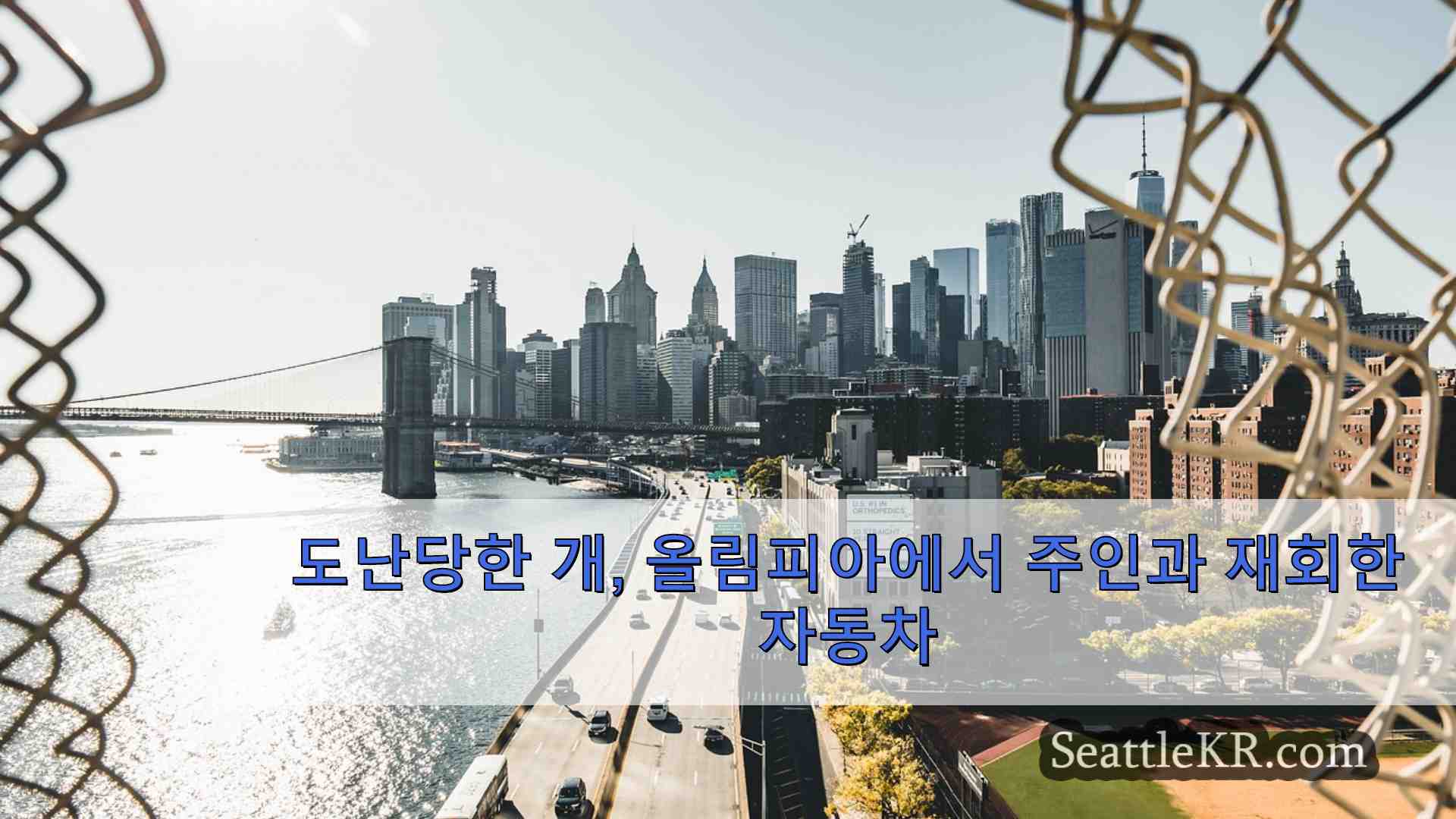 시애틀 뉴스 SeattleKR