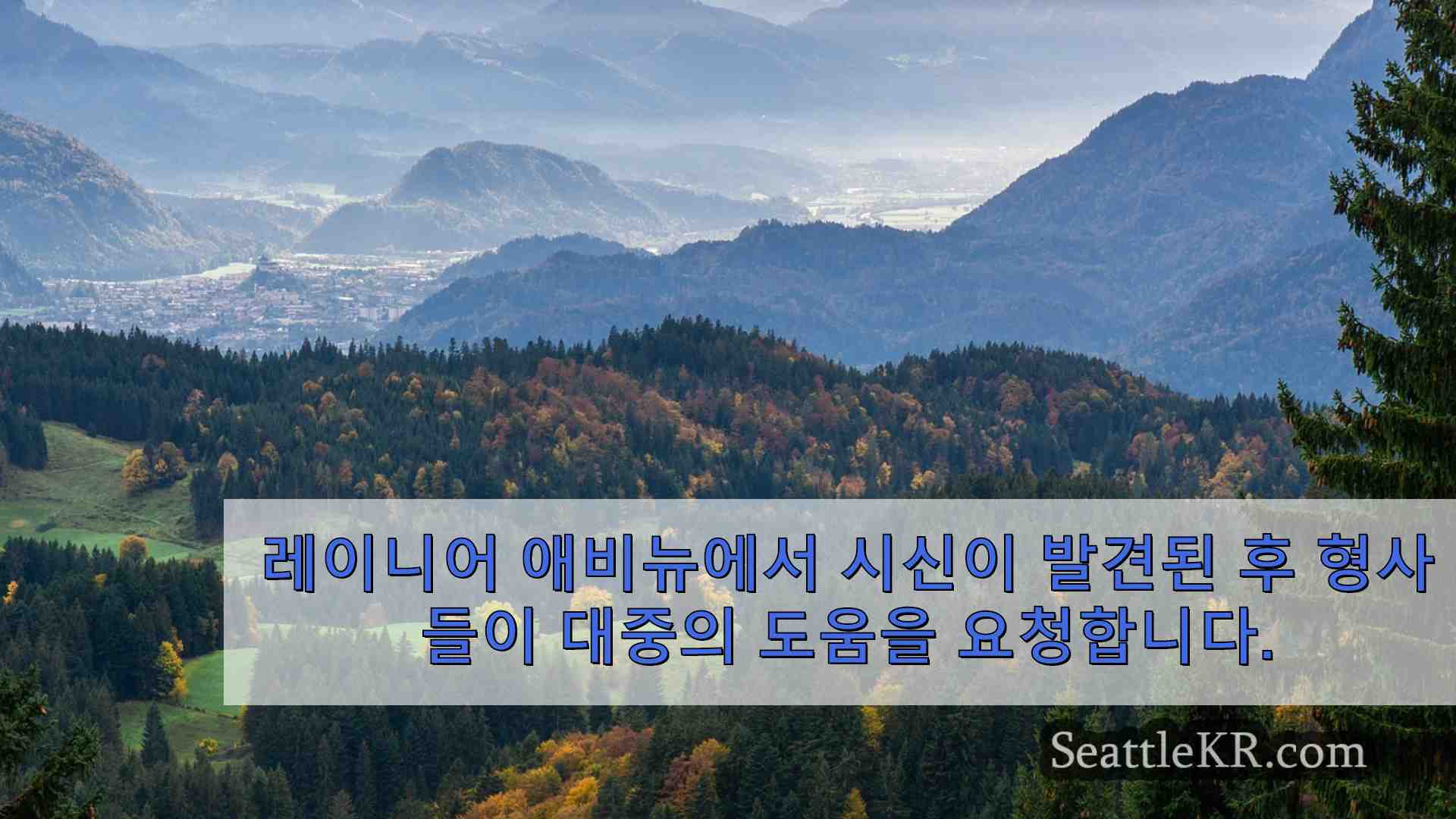시애틀 뉴스 SeattleKR