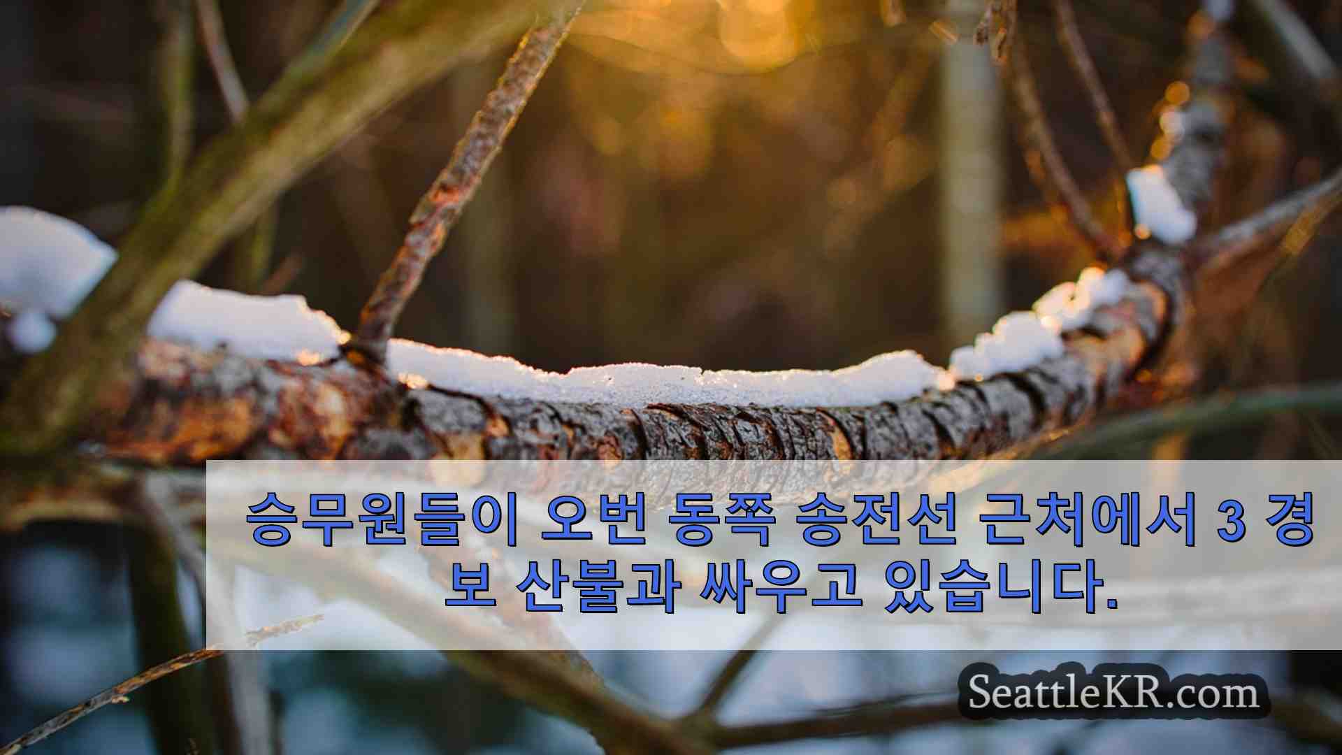 시애틀 뉴스 SeattleKR