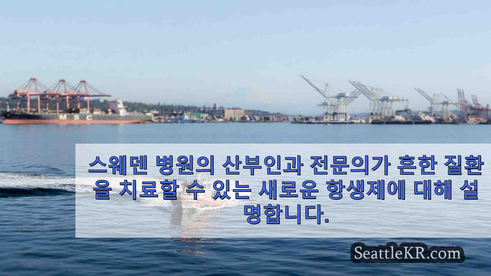 시애틀 뉴스 SeattleKR