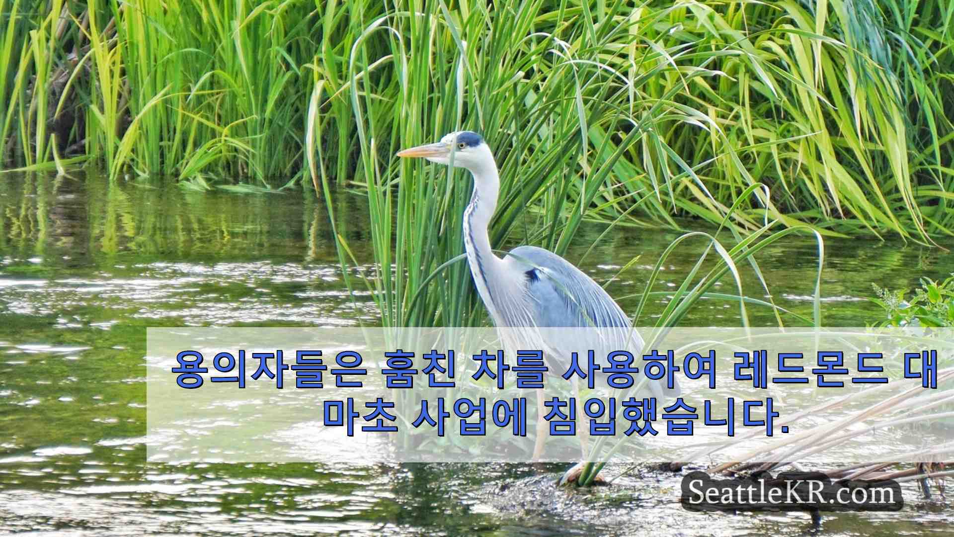시애틀 뉴스 SeattleKR