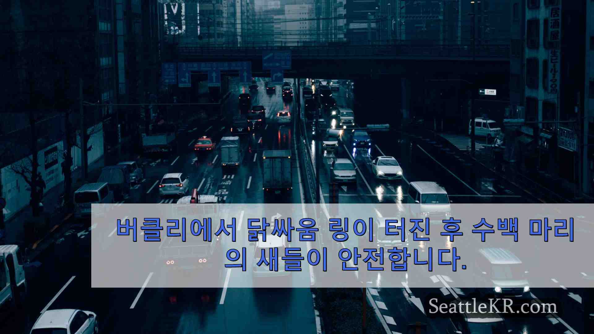 시애틀 뉴스 SeattleKR