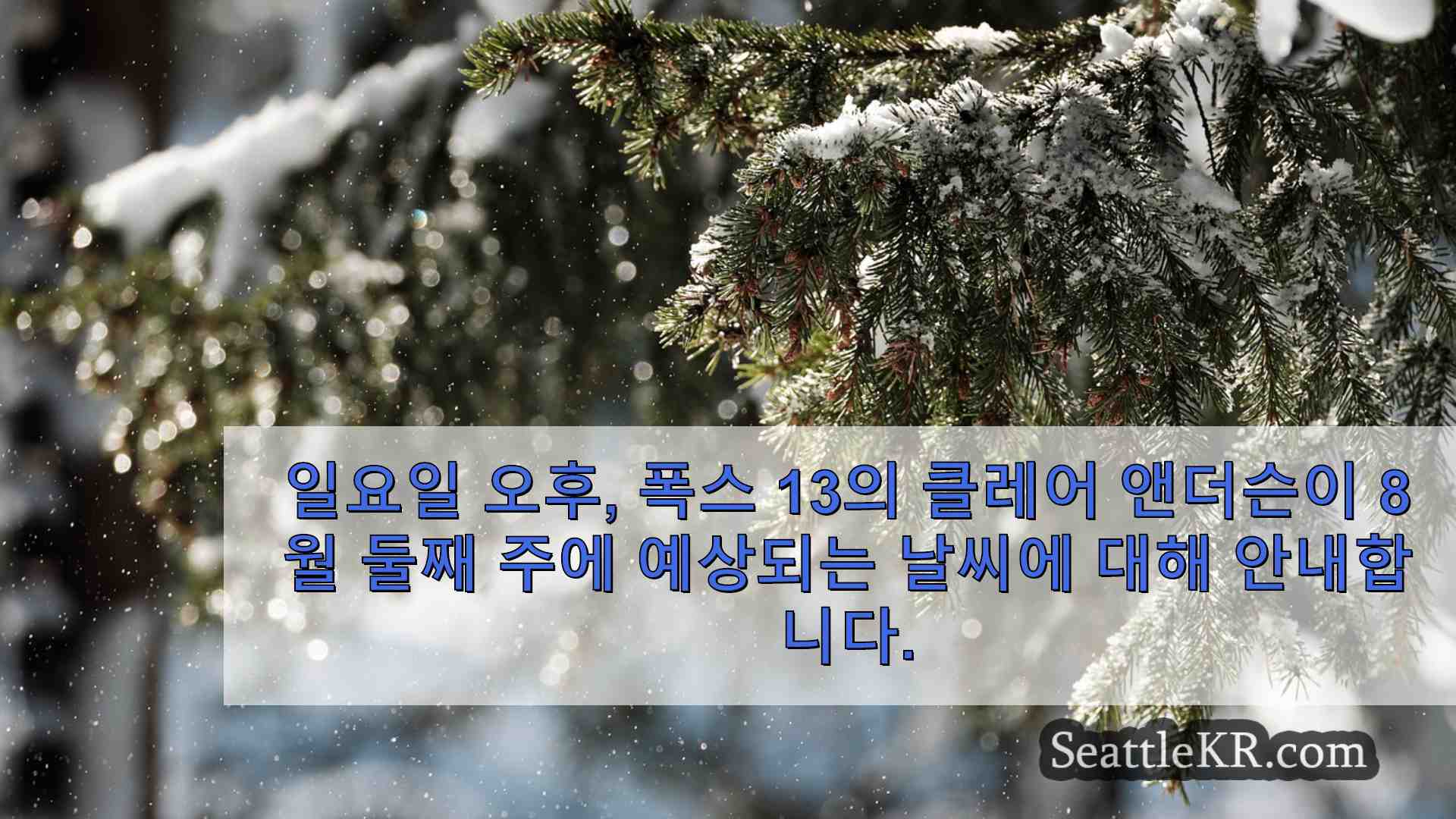 시애틀 뉴스 SeattleKR