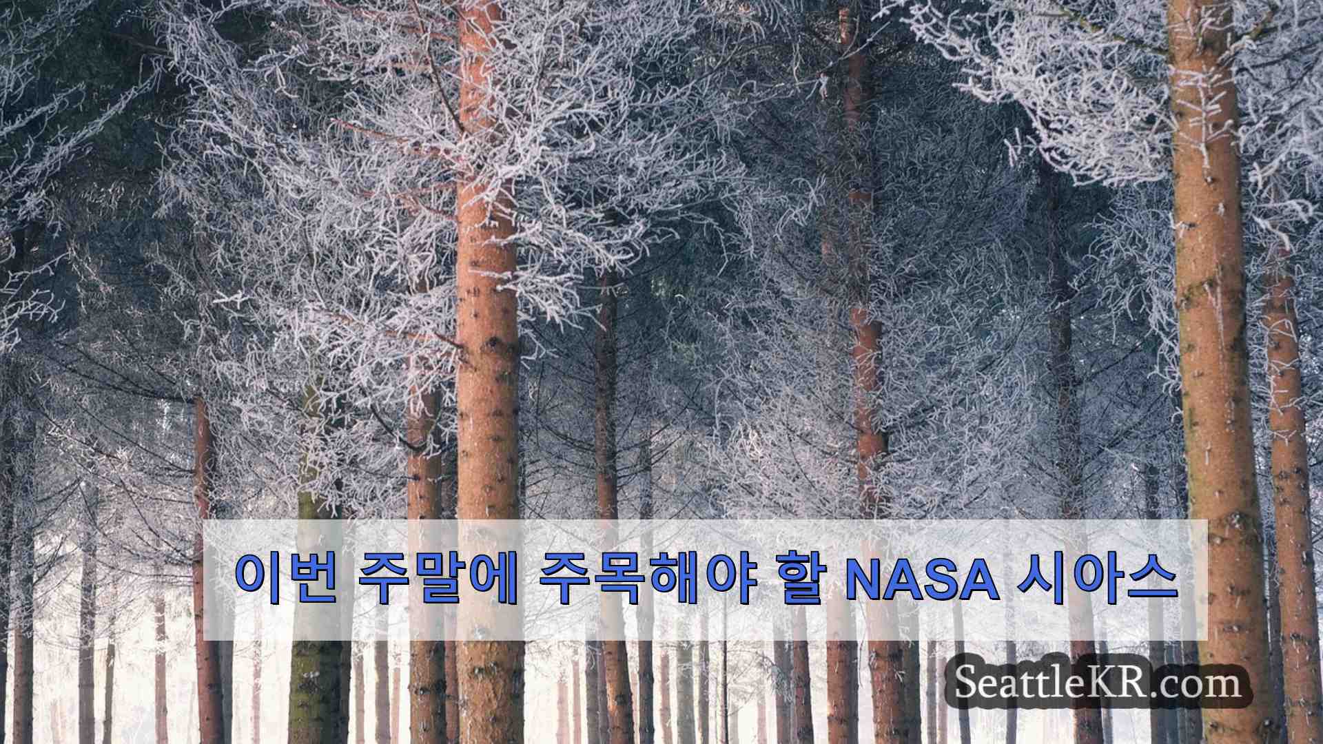 시애틀 뉴스 SeattleKR