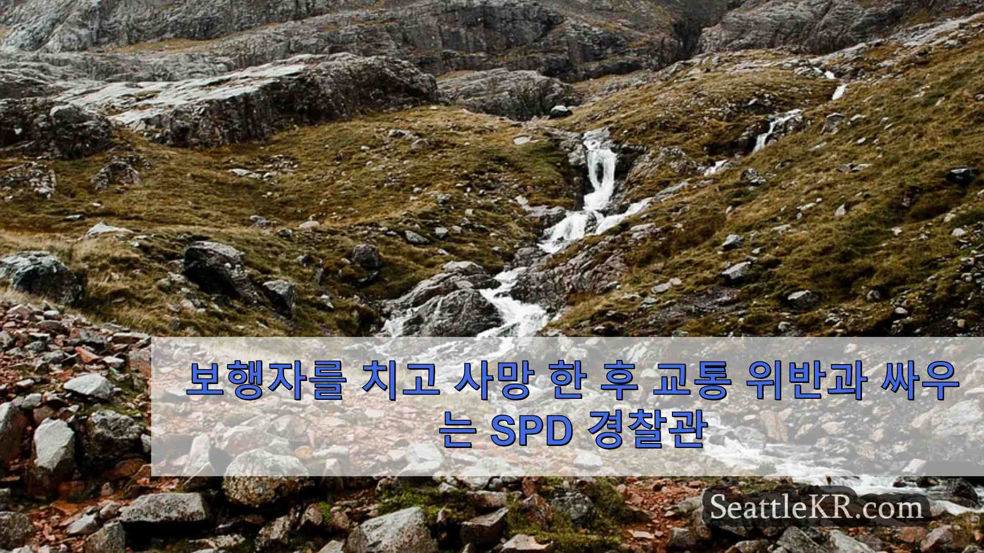 2023년 보행자를 치어 숨지게 한 후 교통법규 위반과 싸우는 SPD 경찰관