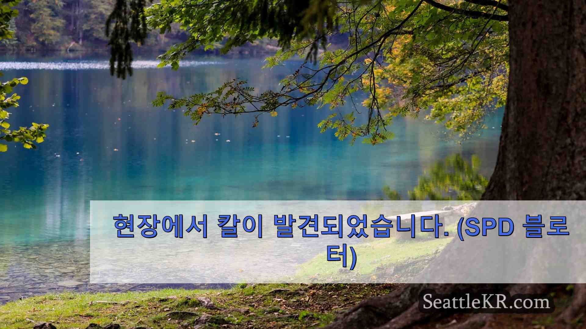시애틀 뉴스 SeattleKR