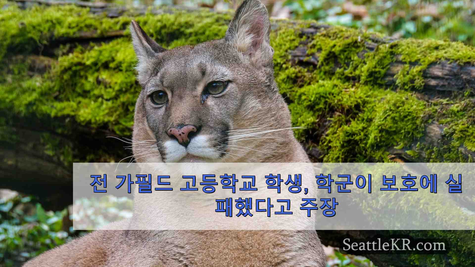 시애틀 뉴스 SeattleKR