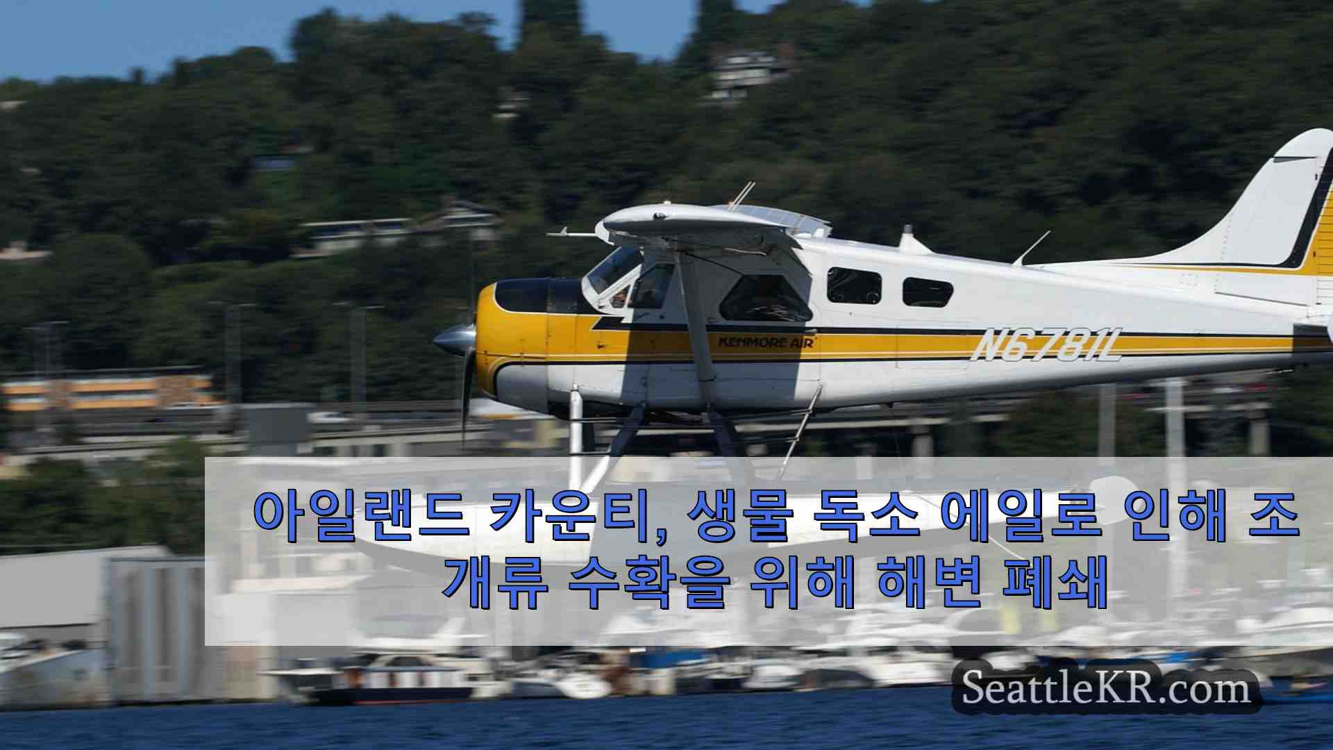 시애틀 뉴스 SeattleKR