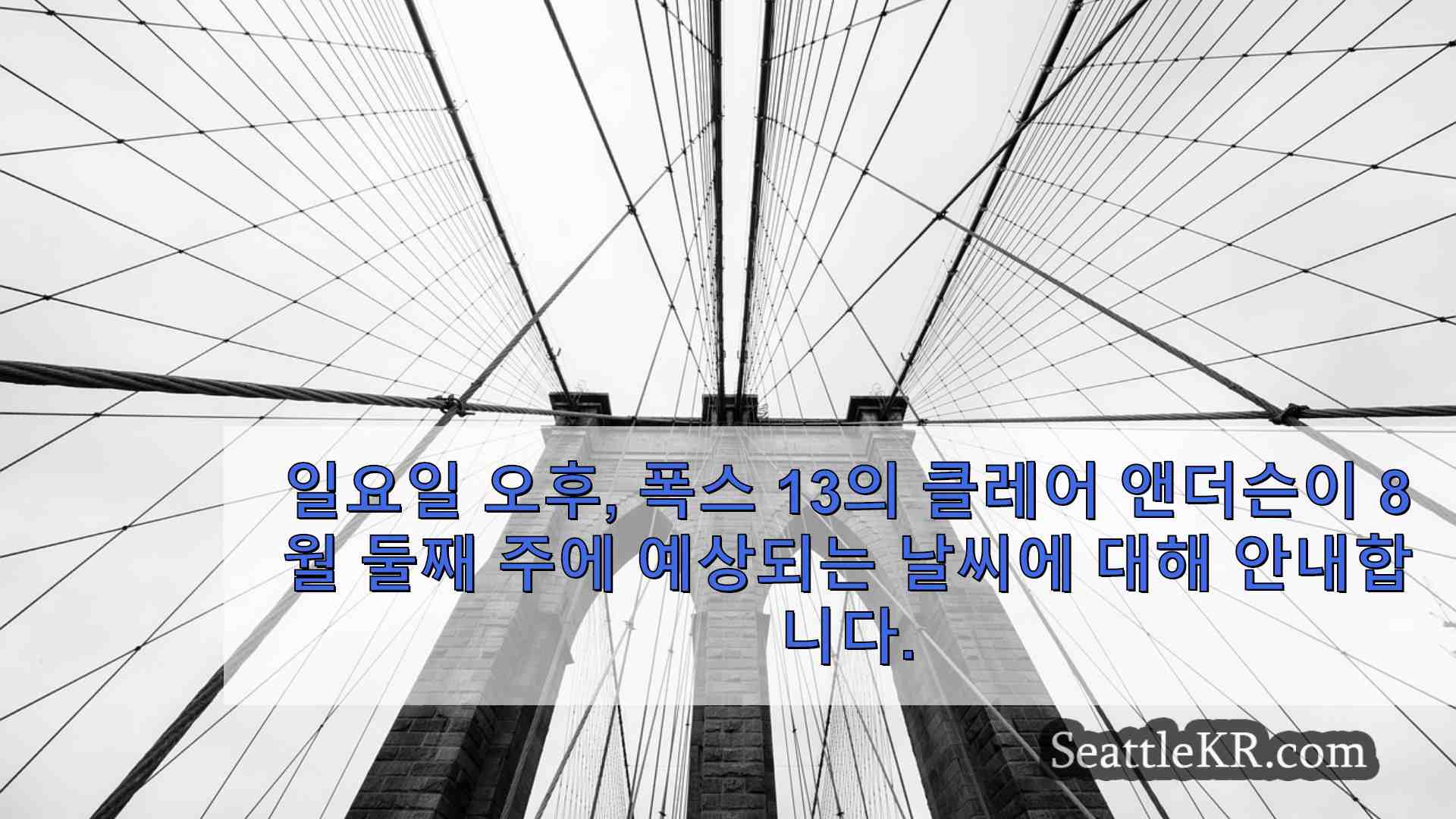 시애틀 뉴스 SeattleKR