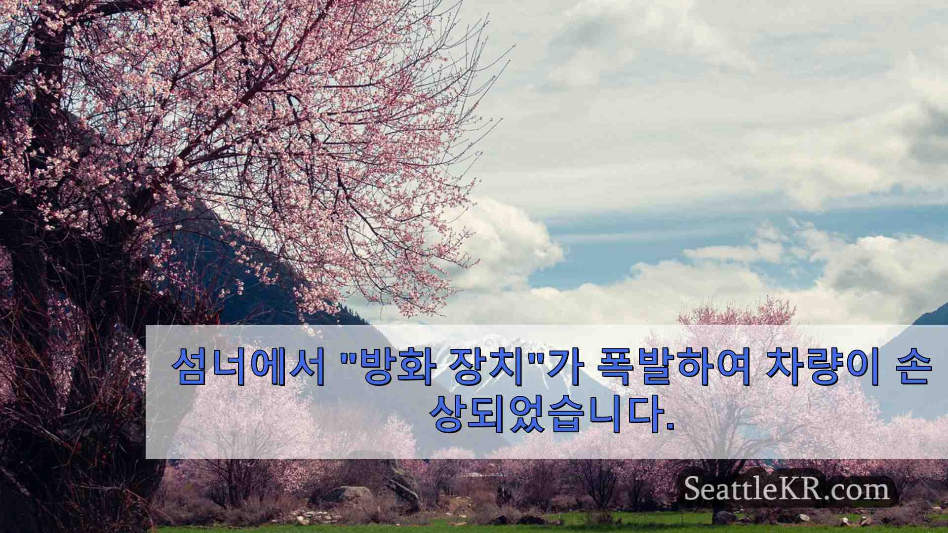 시애틀 뉴스 SeattleKR